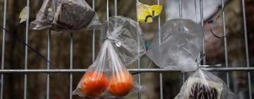 المواد البلاستيكية الملامسة للاغذية ناقلات للسموم 