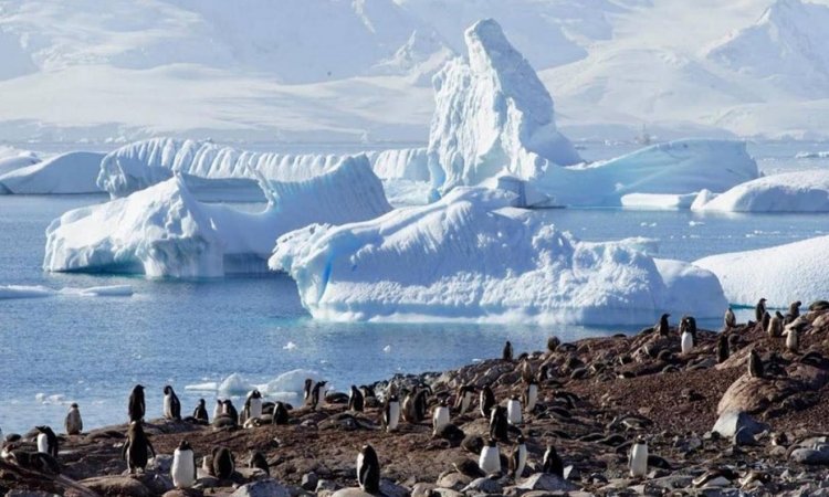   أنتاركتيكا تشهدأعلى معدلات حرارة منذ3 عقود