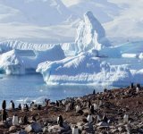   أنتاركتيكا تشهدأعلى معدلات حرارة منذ3 عقود
