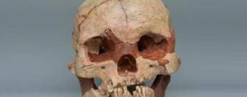 علماء آثار يكتشفون جمجمة عمرها مليونا عام لأسلاف البشر