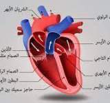 أعراض قصور القلب عند النساء