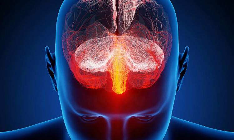 علماء يعلنون بشرى سارة بشأن علاج مناعي لسرطان الدماغ
