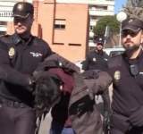 شاب إسباني يلتهم جسد والدته بعد قتلها