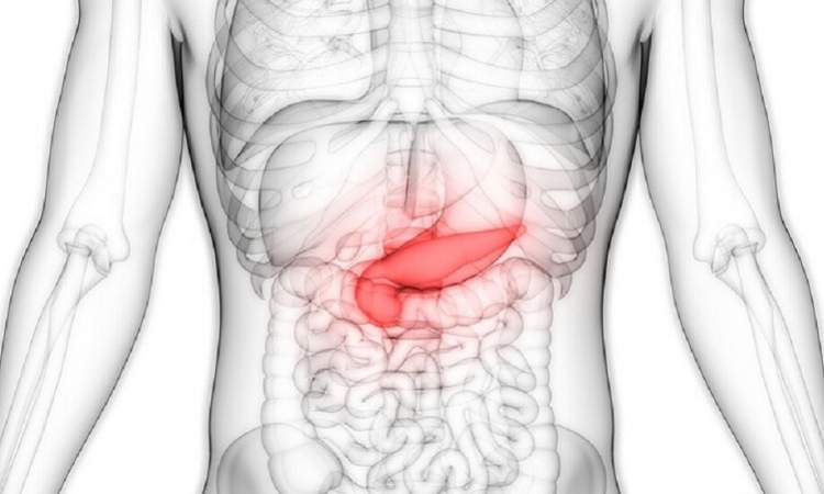 أفضل الوسائل لمنع الإصابة بسرطان البنكرياس