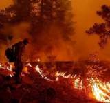 فرار العشرات من النيران في كاليفورنيا