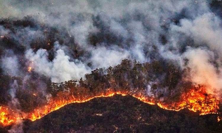حرائق غابات كارثية في أستراليا
