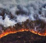حرائق غابات كارثية في أستراليا