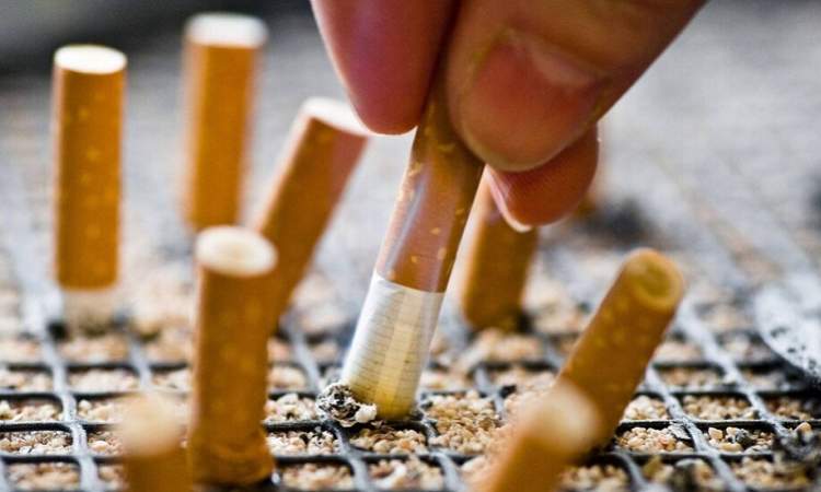 32 مليار سيجارة استهلاك المصريين  خلال نصف عام ب7مليارات جنيه