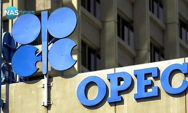 أوبك توافق على زيادة إنتاج العراق من النفط بمقدار 50 ألف برميل يوميا