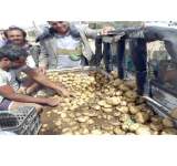 بعد إعلان الاكتفاء الذاتي شركة إنتاج بذور البطاطس:هناك من يسعى لأن تكون اليمن سوقا مفتوحة أمام المنتجات الخارجية