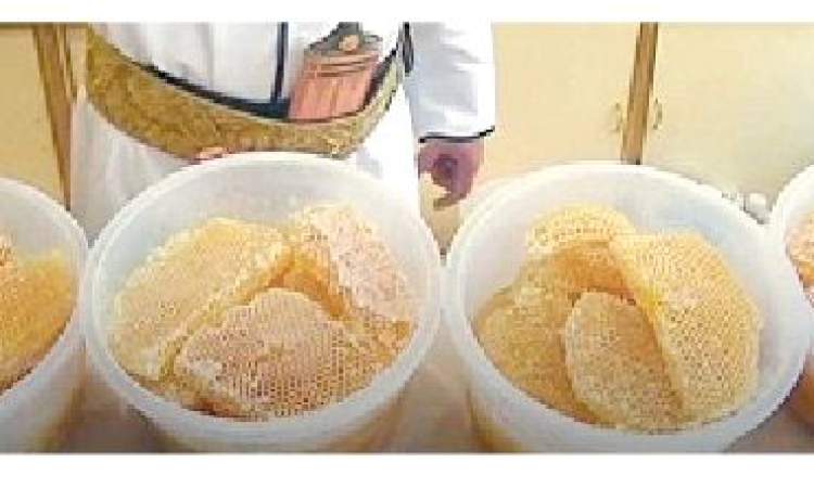 العسل اليمني يمتاز بقيمة غذائية ودوائية ويحتل المرتبة الأولى عالمياً