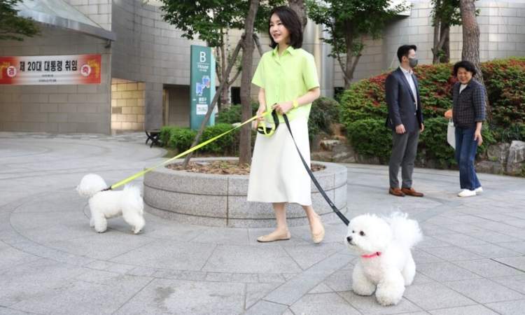 كوريا الجنوبية تسن قانونا جديدا بشأن الكلاب