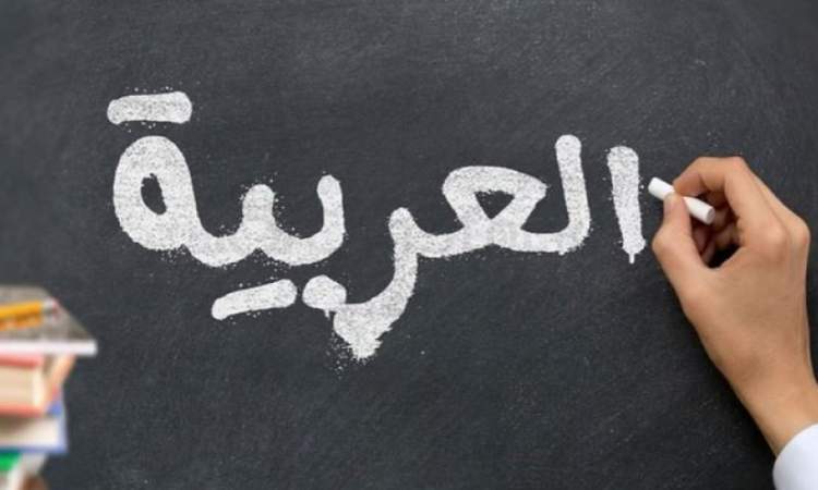 4 كلمات جديدة بينها ترند تدخل القاموس العربي