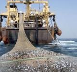 الصيادون اليمنيون يشكون سفن الصيد الاجنبية