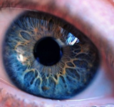 كيف يحمي الميلانين العين من السموم