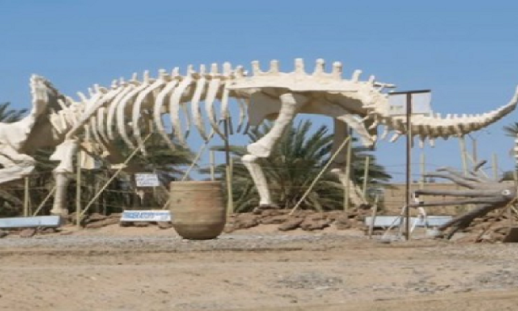 المغرب يستعيد آثارا تعود لـ “250 مليون سنة”