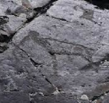 اكتشاف لوحات صخرية في جبال ألتاي
