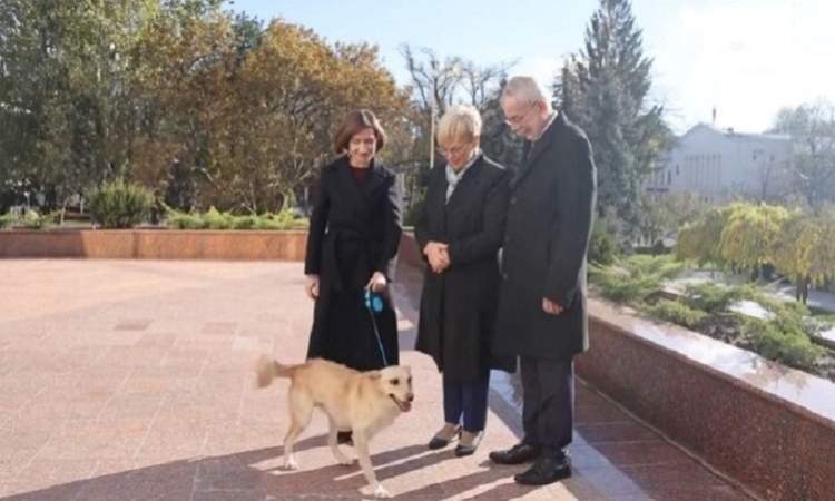 كلب رئيسة مولدوفا يعض رئيس النمسا 