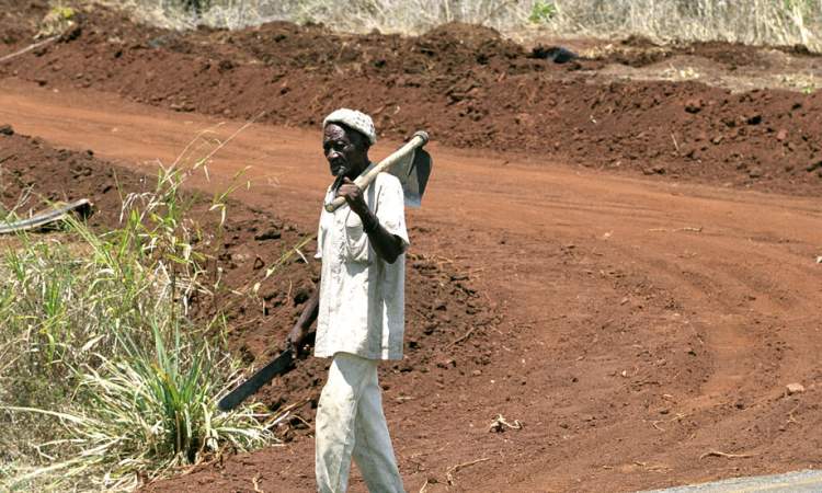 132 قتيلا ومصابا بانزلاقات تربة في شمال تنزانيا