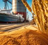 روسيا تشحن 200 ألف طن من الحبوب إلى ست دول أفريقية