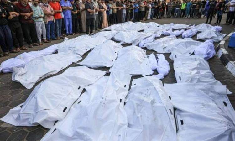 أكثرمن  29 ألف شهيد ضحايا العدوان على غزة الى الان
