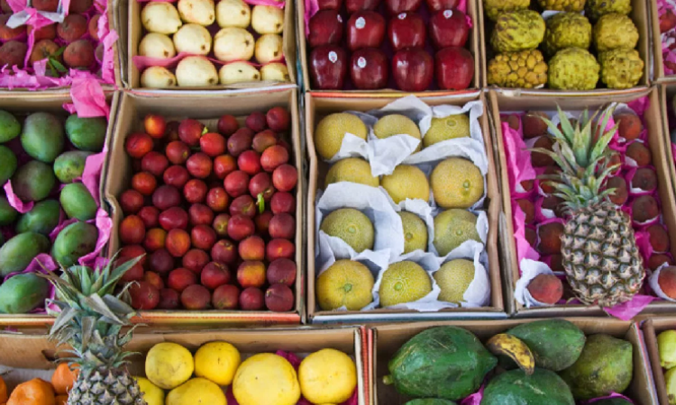 دراسة: رائحة أنواع من الفاكهة توقف نمو الخلايا السرطانية