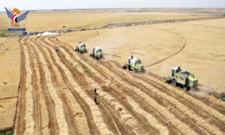 مؤسسة الحبوب تتوقع حصاد 4000 طن في محافظة الجوف