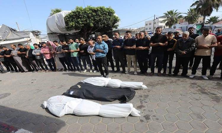 3 مجازر و41 شهيدًا في العدوان الصهيوني على غزة في 24 ساعة