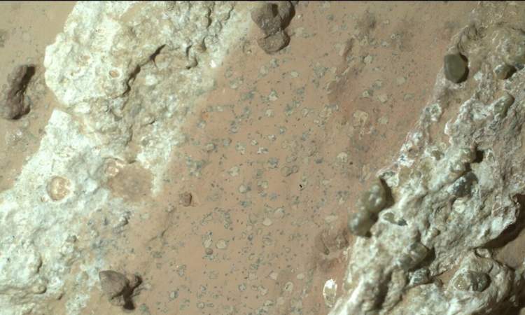 اكتشاف علامات محتملة للحياة القديمة على المريخ